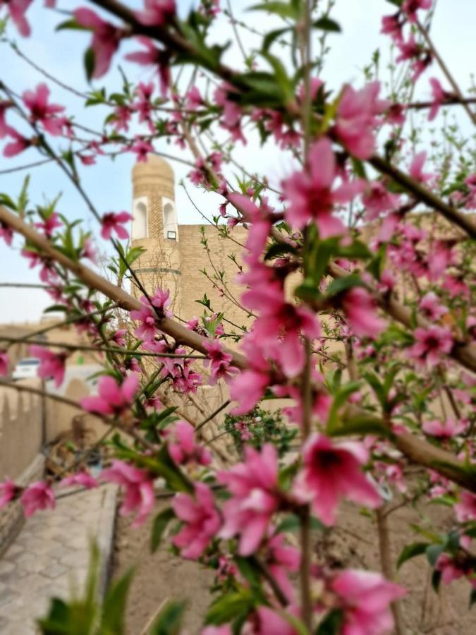 Guest House Khiva Boyjon Ota Dış mekan fotoğraf